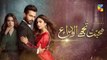 Mohabbat Tujhe Alvida Episode 7 HUM TV Drama 29 July 2020