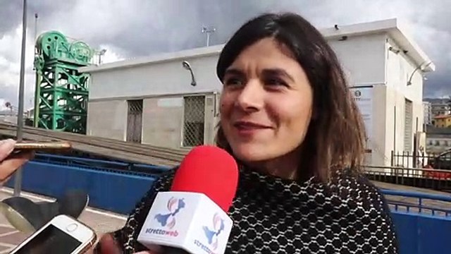 Nasce l'AutoritÃ Portuale dello Stretto, l'intervista alla deputata M5S Dieni