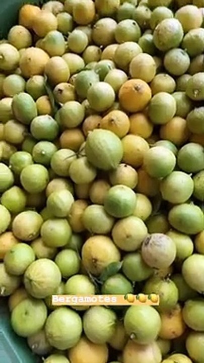 L'influencer Chiara Ferragni a Reggio Calabria presso l'azienda agrumaria Capua per il nuovo profumo al bergamotto