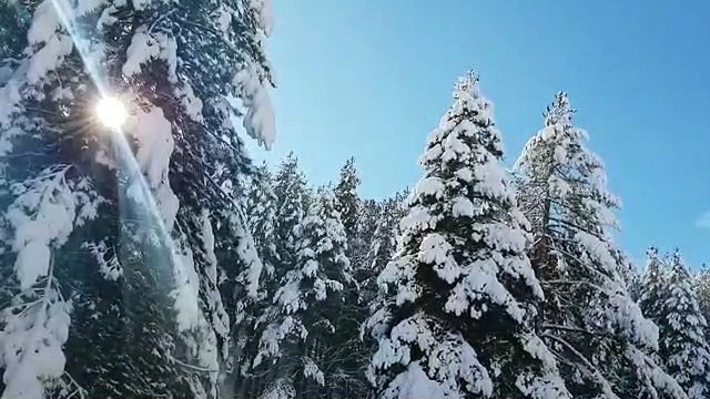 Lo straordinario spettacolo della neve in Sila