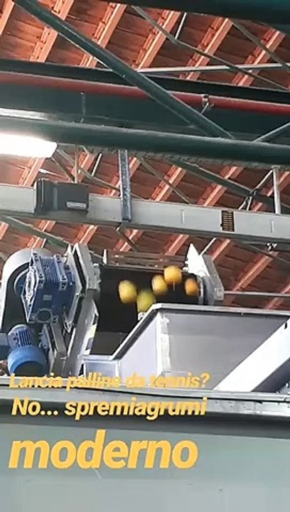 Nuovo profumo al bergamotto di Guarlain, le immagini dall'azienda agrumaria di Reggio Calabria