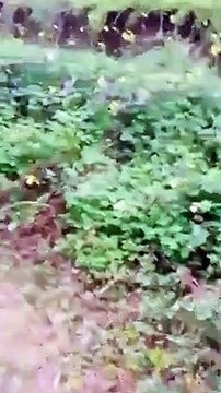 Reggio Calabria, le immagini della frana a Santâ€™Anna di Seminara