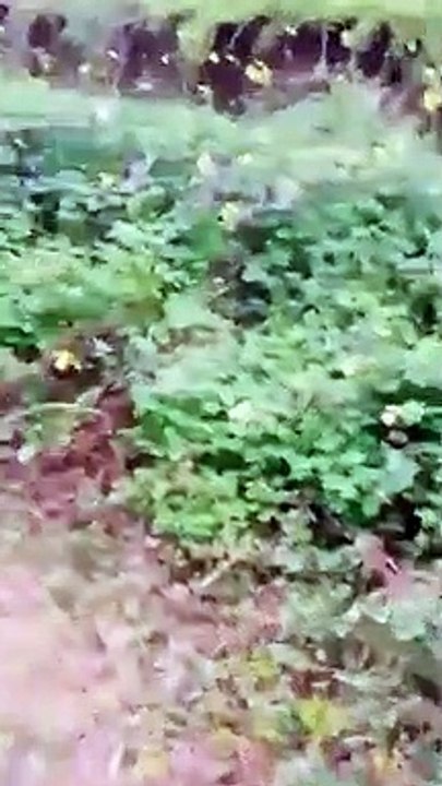 Reggio Calabria, le immagini della frana a Santâ€™Anna di Seminara