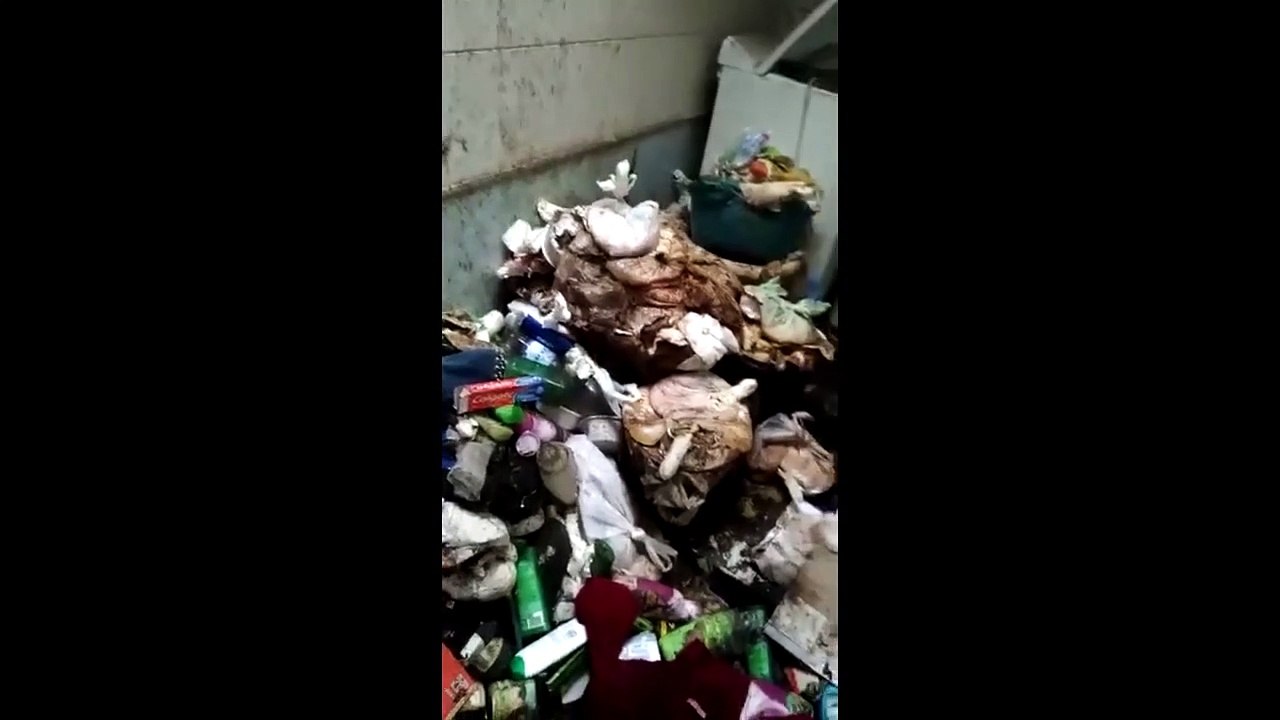 Calabria: bimba di 11 anni costretta a vivere nel degrado piÃ¹ assoluto, le immagini