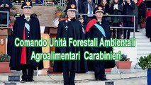 Reggio Calabria: i Carabinieri Forestali presentano i risultati operativi conseguiti nel 2018