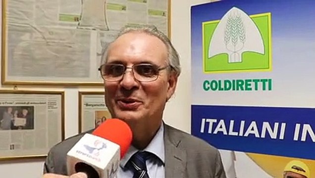 Le eccellenze ittiche calabresi al Museo del Cibo di Reggio Calabria, ecco le parole del Prof. Vittorio Caminiti