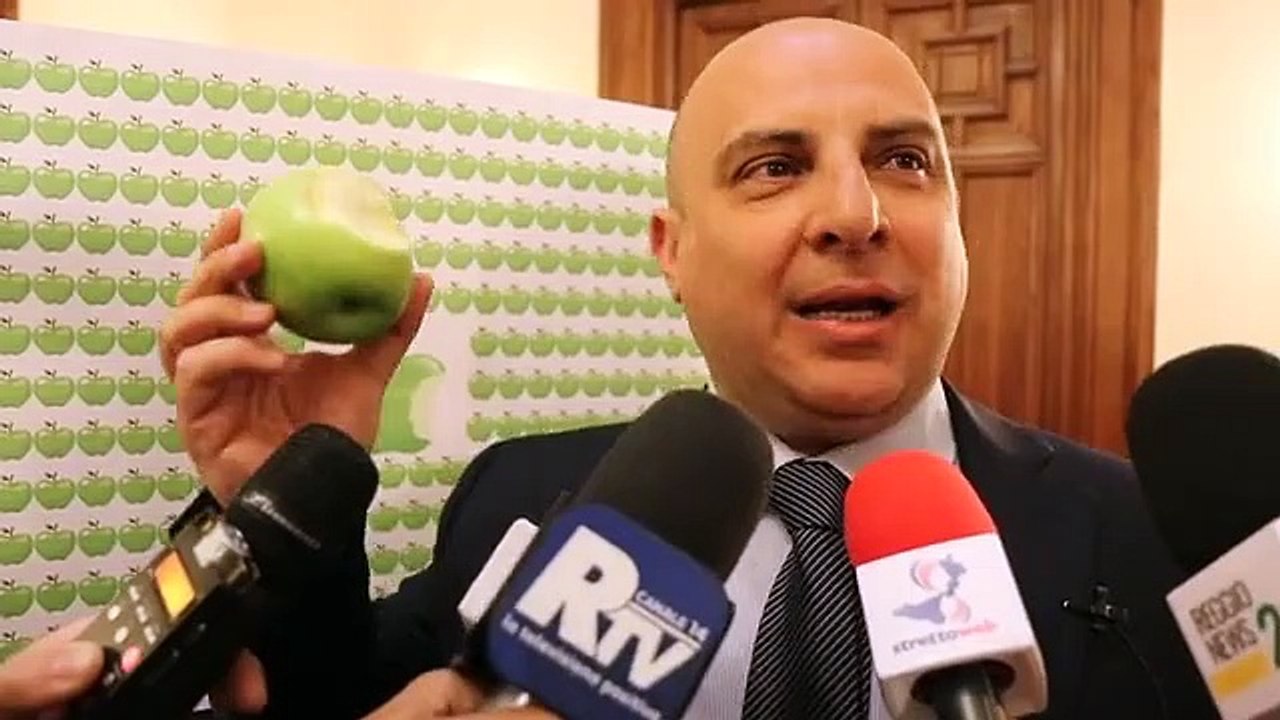 Reggio Calabria, Ripepi: "FalcomatÃ  dice tante bugie alla cittÃ "