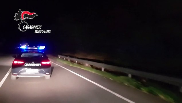 Reggio Calabria: coltivazioni di cannabis in Aspromonte, numerosi arresti