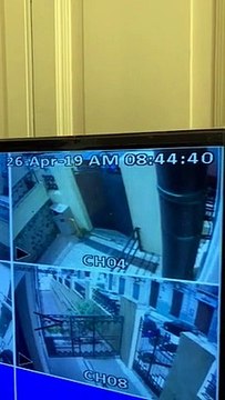 Fazio fa arrestare ladro di merendine , a Reggio Calabria come in Montalbano