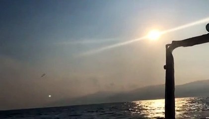 Reggio, in 30 mila col naso allâ€™insÃ¹ per le Frecce Tricolori