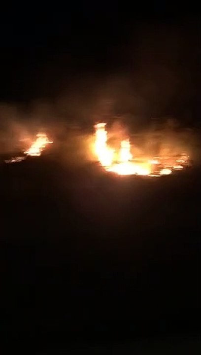 Reggio Calabria: Ã¨ una notte di paura per gli incendi a ridosso delle case, le immagini