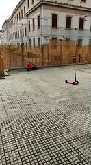 Messina, topi nell'ex scuola Ugo Foscolo: le immagini