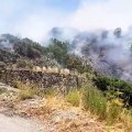 Reggio Calabria: le immagini dell'incendio a Trunca, zona collinare della cittÃ 