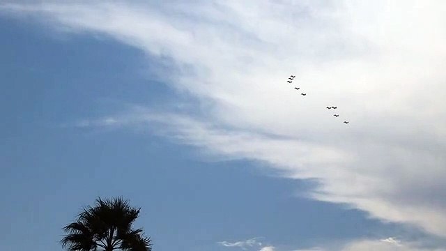 Le Frecce Tricolori tornano sul Lungomare di Reggio Calabria, le immagini