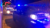 'Ndrangheta: 5 arresti per droga a Reggio Calabria. Sequestrate oltre settemila piante di marijuana, le immagini