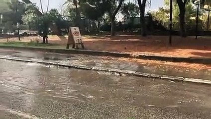 Maltempo, bomba d'acqua a Reggio Calabria: Lungomare allagato, le immagini