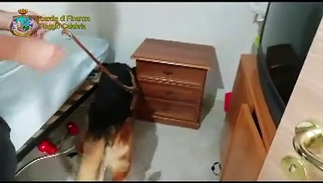 Reggio Calabria: scoperto bunker con droga, armi e soldi sporchi