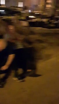 Reggio Calabria, le immagini dei topi che passeggiano indisturbati sul Lungomare