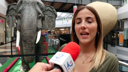 Jules Verne a Porto Bolaro, una mostra interattiva con la realtÃ  virtuale: Claudia Iezzi ai microfoni di StrettoWeb