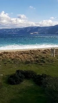 Orche nello Stretto di Messina: nuovo avvistamento tra Capo Peloro e Scilla, le immagini