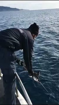 Reggio Calabria: i risultati del 2019 della Direzione marittima, le immagini