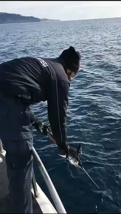 Reggio Calabria: i risultati del 2019 della Direzione marittima, le immagini