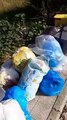 Emergenza rifiuti a Reggio Calabria: le immagini da Ciccarello