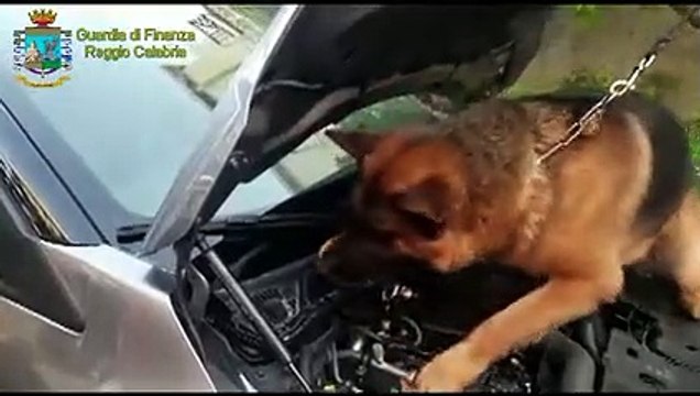 Reggio Calabria, operazione Cargo bianco : arrestato 51enne intento a trasportare cocaina in Sicilia
