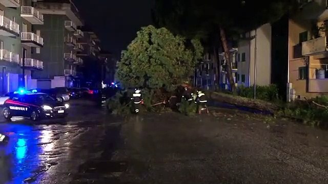 Forte maltempo in Calabria: strade completamente allagate e alberi caduti