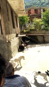 Messina: le immagini del sindaco Cateno De Luca questa mattina con il padre a Fiumedinisi