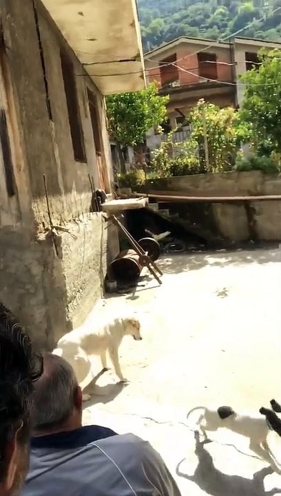 Messina: le immagini del sindaco Cateno De Luca questa mattina con il padre a Fiumedinisi