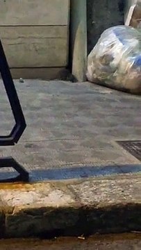 Emergenza rifiuti a Reggio Calabria: grossi topi in via prolungamento aschenez