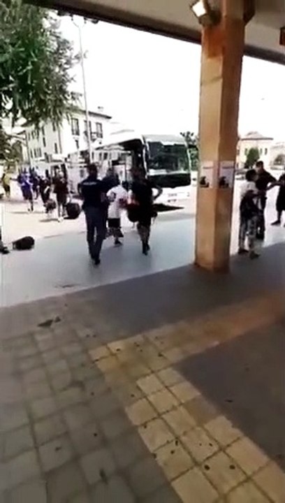 Gasperini e lo staff dell'Atalanta contro un tifoso del Napoli