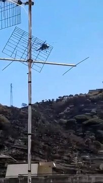 Messina: elicotteri all'opera per domare l'incendio di Camaro San Paolo