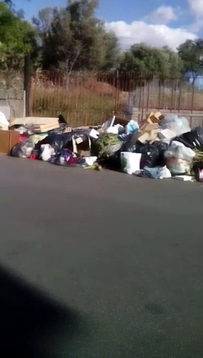 Reggio Calabria, sembra di essere in un film horror: degrado fuori dall'isola ecologica di Condera