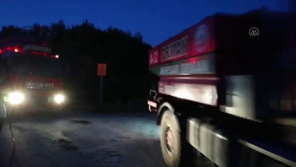 Soma'da orman yangını - MANİSA