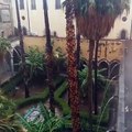 Maltempo: alluvione a Palermo nel giorno del Festino, le immagini