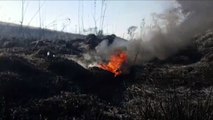 Incêndio ambiental é registrado às margens da BR-369