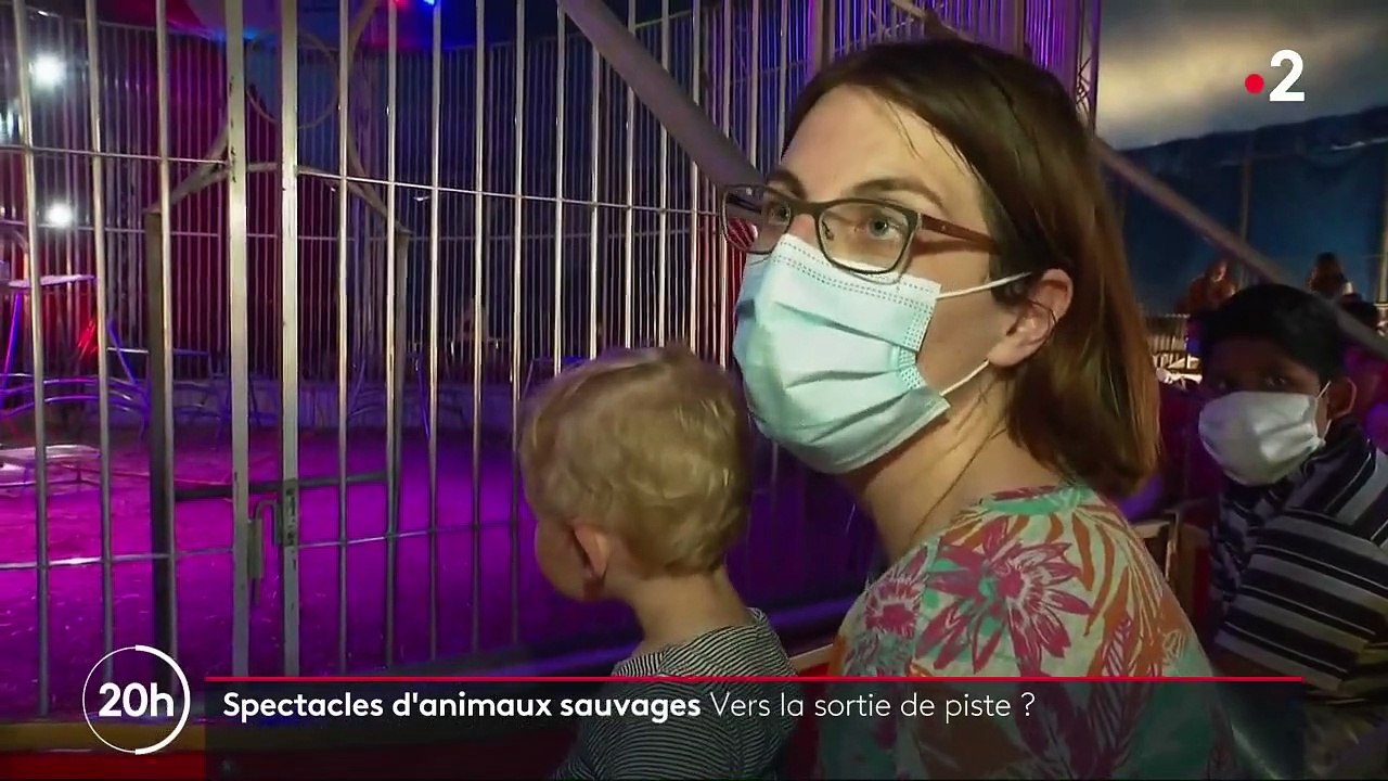 Spectacles d’animaux sauvages : vers la sortie de piste ?