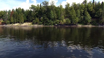 Plusieurs pneus sur la berge du lac Témiscouata