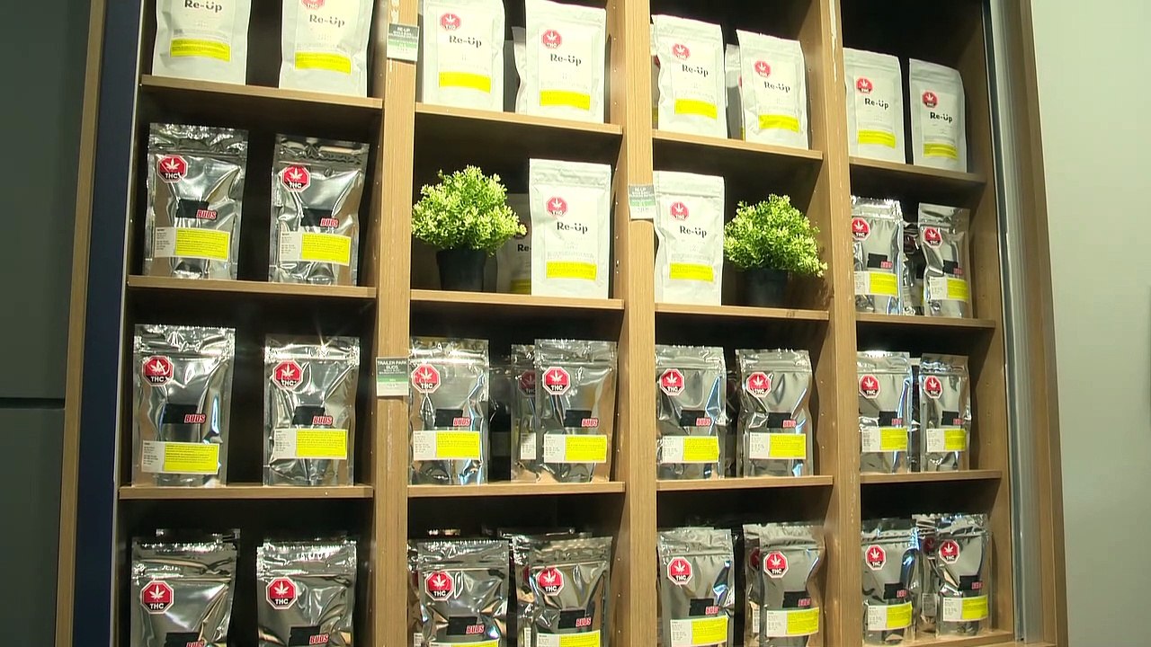 Cannabis NB : Profits de 1,4M$ au dernier trimestre