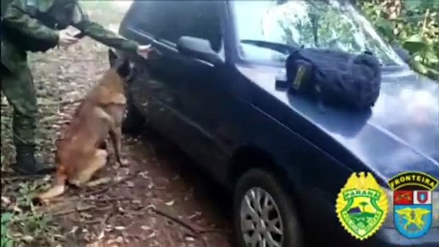 BPFron apreende cigarros em veículo durante Operação Hórus em Marechal Cândido Rondon