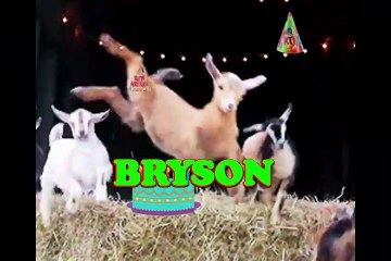 Happy Birthday Bryson - Bryson's Birthday Song - Bryson's Birthday Party