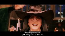[Vietsub FMV] Harry Potter (cut) | BMG Thời gian chưng mưa 时间煮雨 - Úc Khả Duy 郁可唯 (Tiny Times OST)