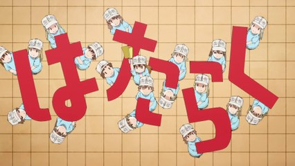 Hataraku Saibō OP 60fps - Elwarddero Kawai