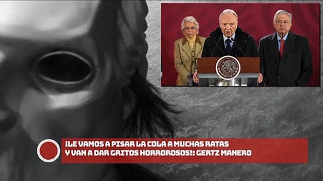¡Le vamos a pisar la cola a muchas ratas y van a dar gritos horrorosos!: Gertz Manero