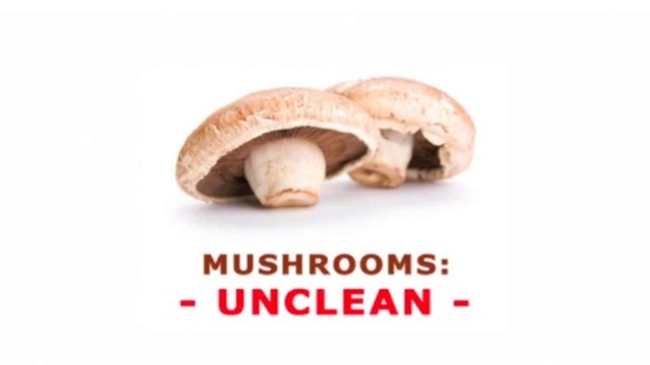 MUSHROOMS; UNCLEAN