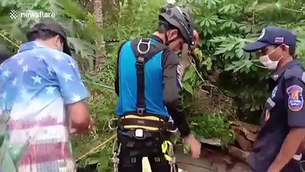 Missing pet cat rescued from 25ft deep well