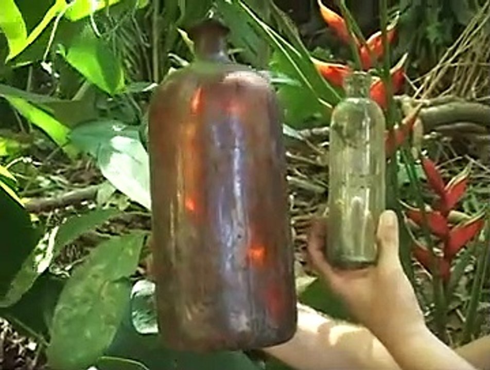 Bottle Hunters Of Hawaii
