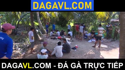 DAGAVL.COM - đá gà trực tiếp. Bắt 23 đối tượng đá gà tại Tân Quy A